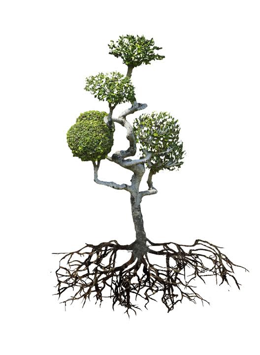 Leading Change